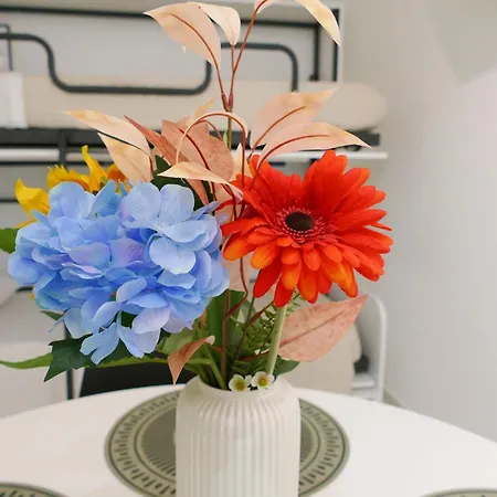 Casa vacanze Bvsirenehouse