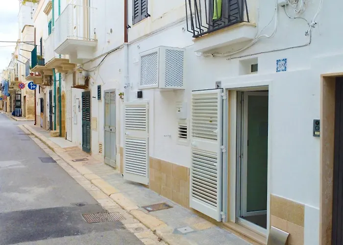 Bvsirenehouse 폴리나노 아마레