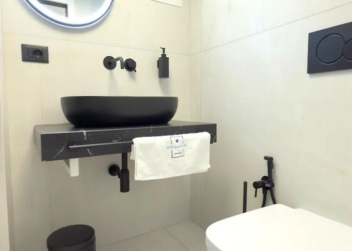 Bvsirenehouse 폴리나노 아마레